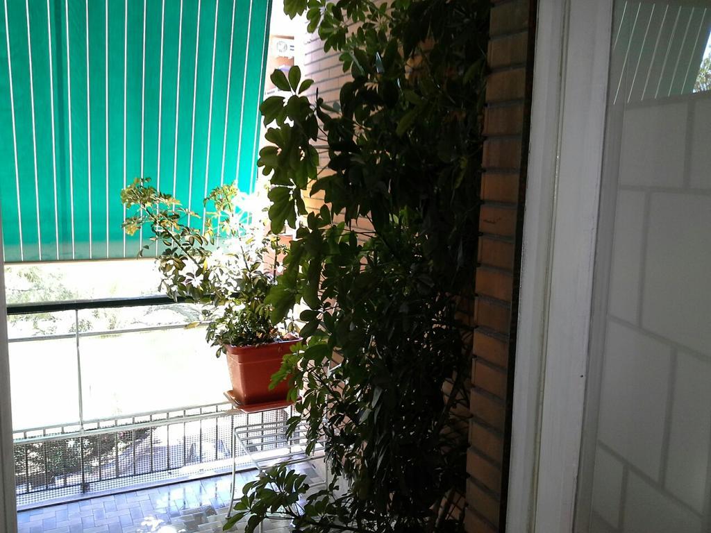 Olimpica Relais Guest House Рим Екстериор снимка