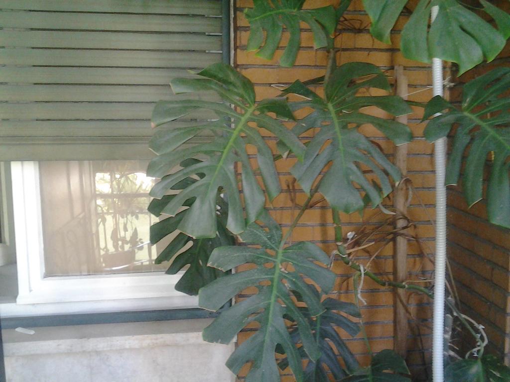 Olimpica Relais Guest House Рим Екстериор снимка