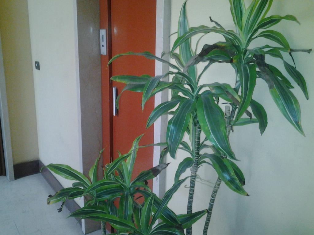 Olimpica Relais Guest House Рим Екстериор снимка